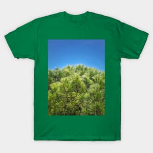 green pine and blue sky T-Shirt